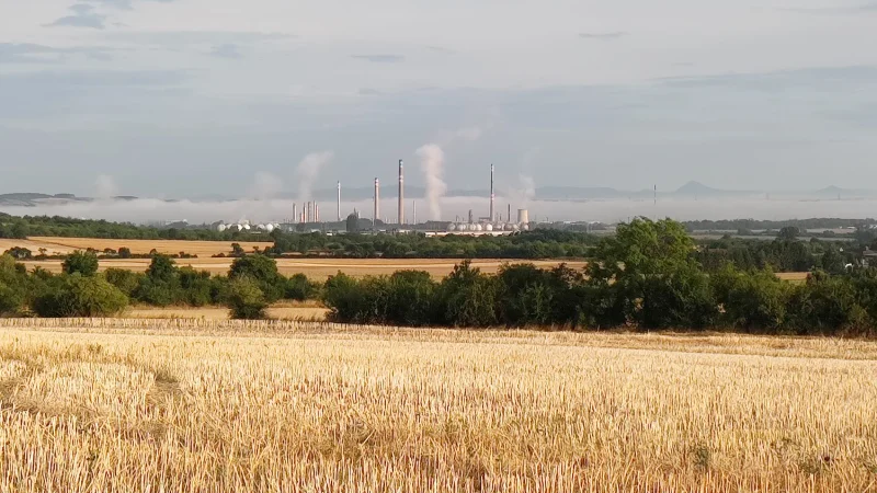 Featured image for post: Můj týden #3