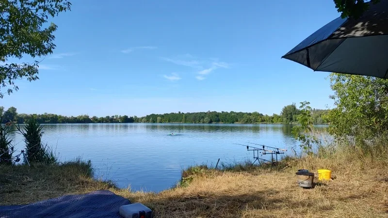 Featured image for post: Můj týden #1